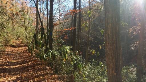 You will not be disappointed.