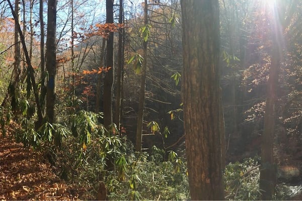 You will not be disappointed.