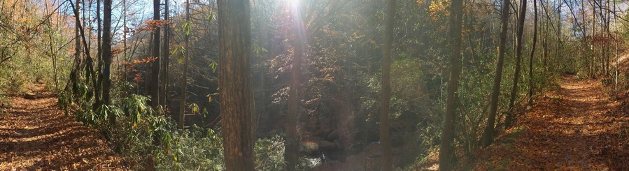 You will not be disappointed.