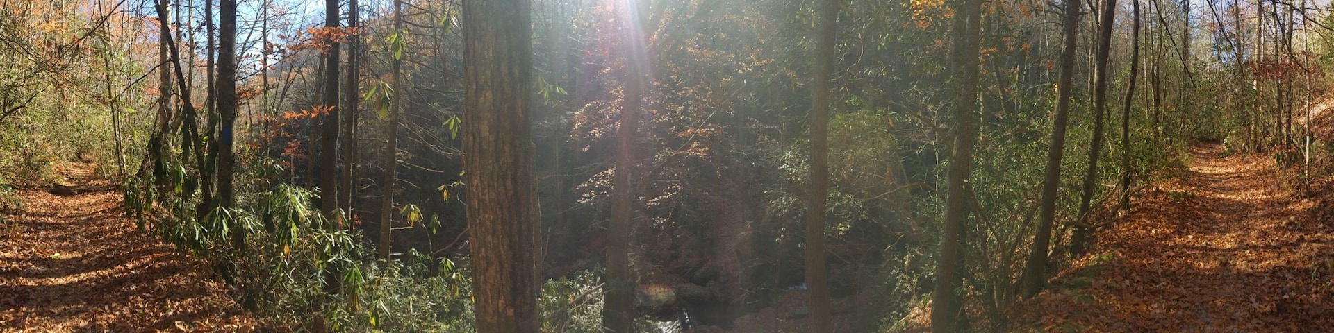 You will not be disappointed.