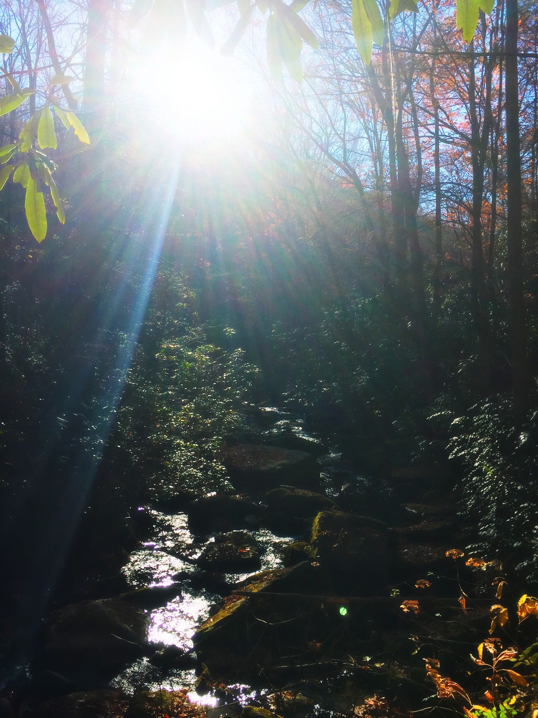 Beautiful 10 mile hike in upstate South Carolina...so much beauty!