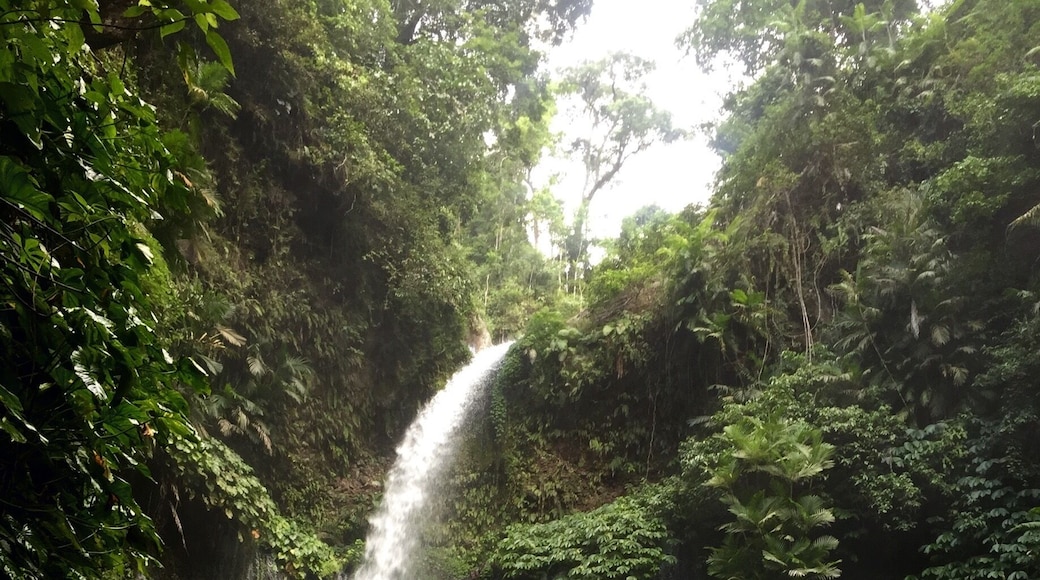 Tiu Kelep Waterfall in Senaru, Lombok, Indonesia. The walk there is a great thing to do if you arrive for your a Rinjani trek the day before with time to spare.