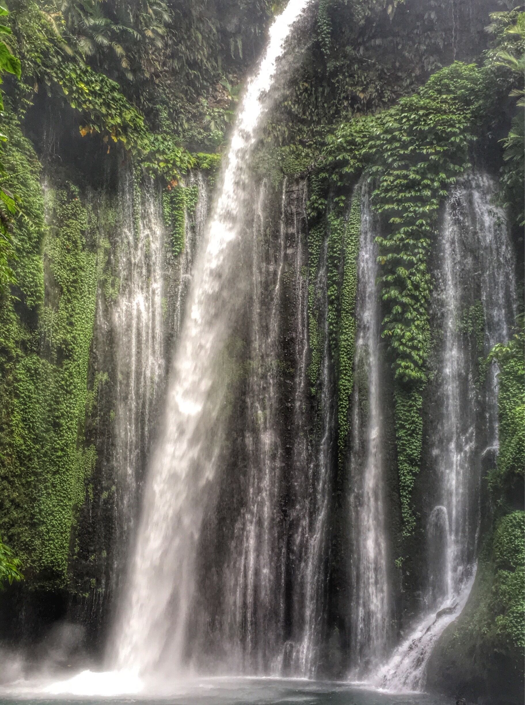 Easy hike from senaru town Lombok Indonesia. Beautiful waterfall. #BestOf5