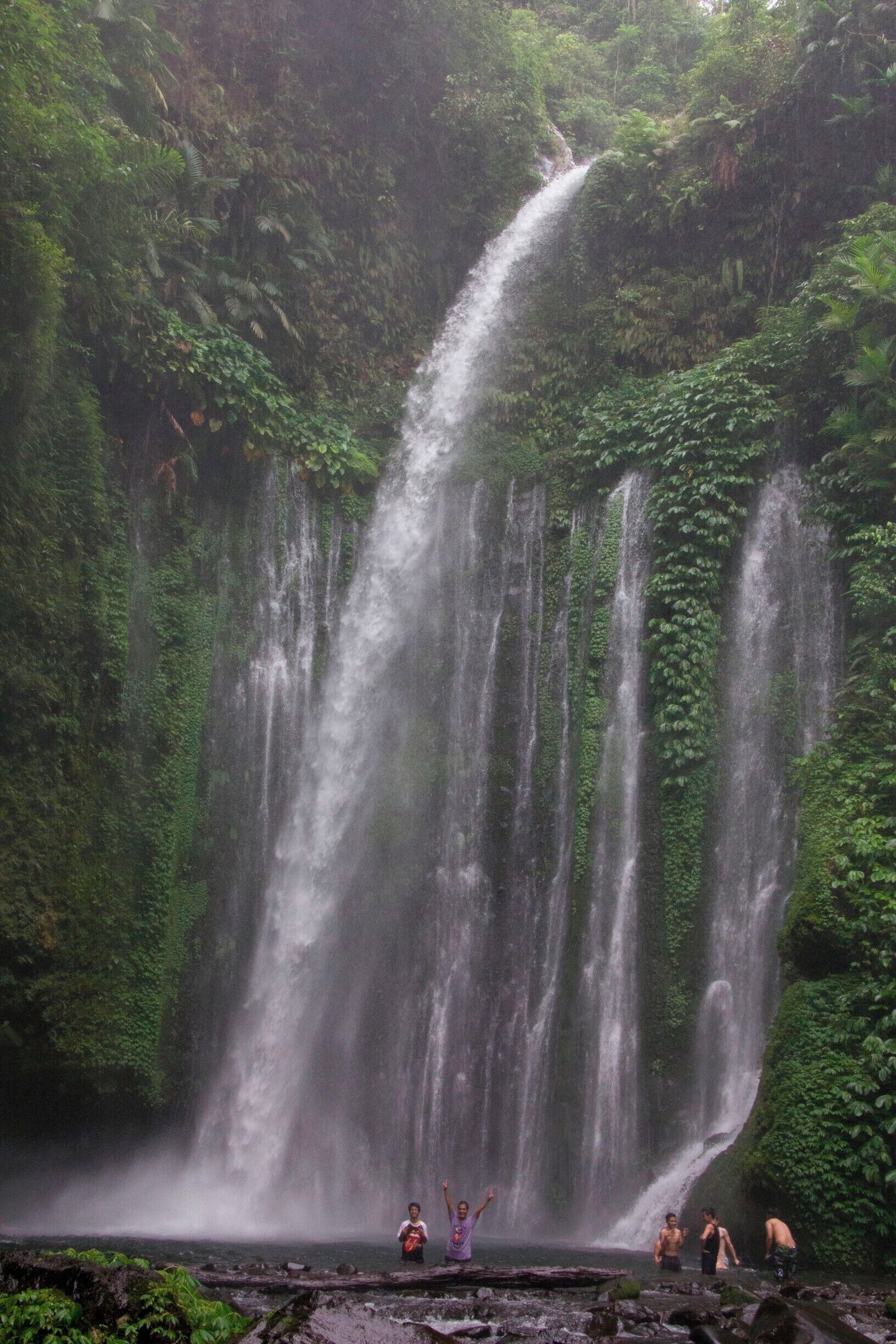 A waterfall surrounded by lush greenery.
