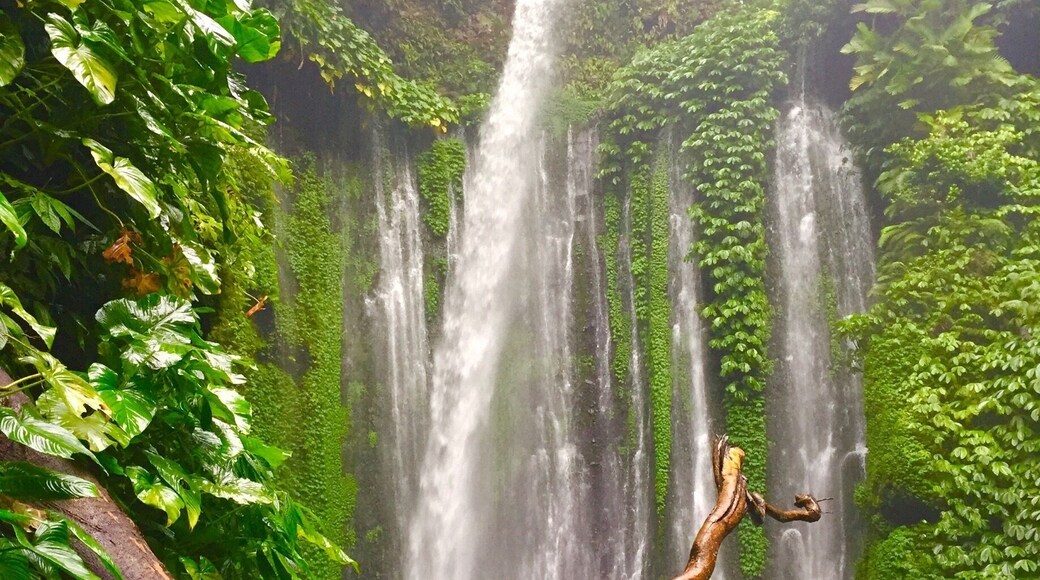Only requires a short hike to get here and the view is stunning! Plus you can swim in the pool beneath the falls... The water is refreshing and crystal clear. I loved everything about this experience... If you're traveling to Lombok... Don't miss this waterfall!