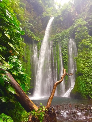 Only requires a short hike to get here and the view is stunning! Plus you can swim in the pool beneath the falls... The water is refreshing and crystal clear. I loved everything about this experience... If you're traveling to Lombok... Don't miss this waterfall!