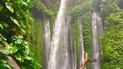 Only requires a short hike to get here and the view is stunning! Plus you can swim in the pool beneath the falls... The water is refreshing and crystal clear. I loved everything about this experience... If you're traveling to Lombok... Don't miss this waterfall!
