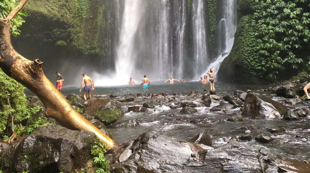 If you happen to find yourself in central-northern Lombok in Gunung Rinjani National Park, don't miss out on seeing Tiu Kelep waterfall shown in this photo I took. It's a 40-45 minute trek from Senaru Village. Don't miss out!