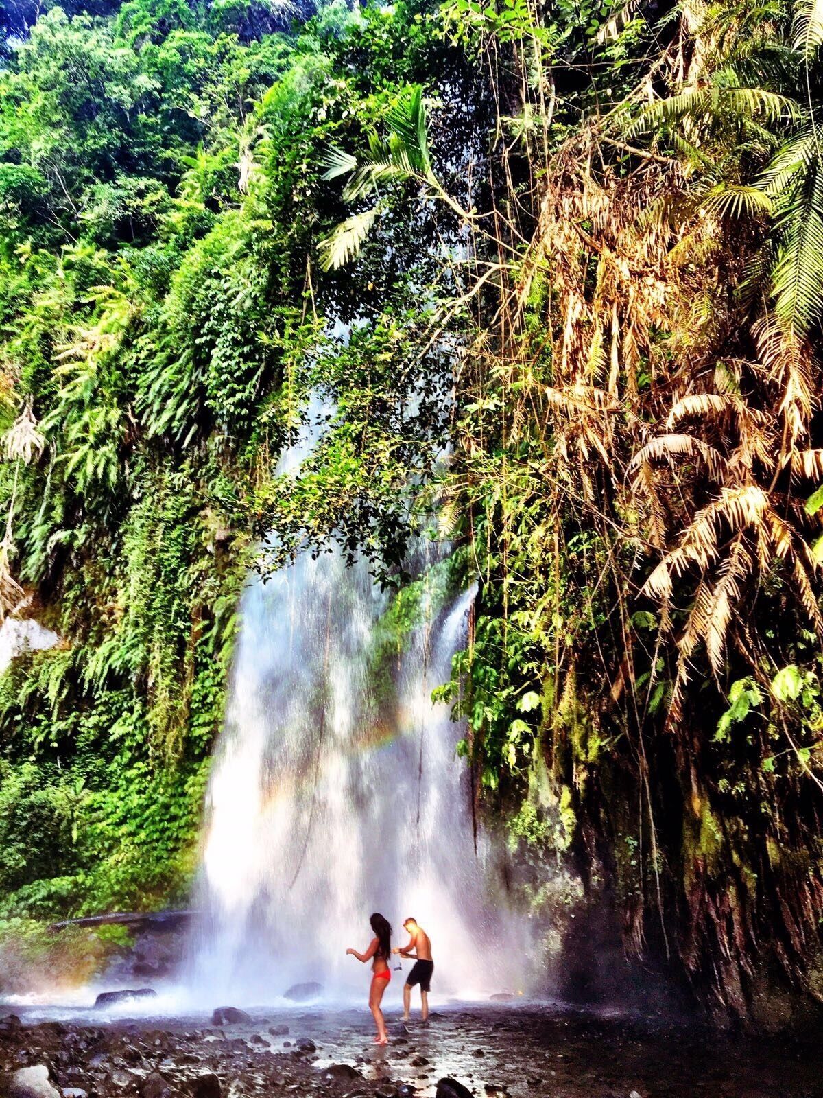 A waterfall in a lush, green forest.