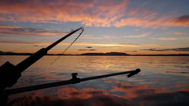 Una caña de pescar en primer plano con un atardecer sobre aguas tranquilas.