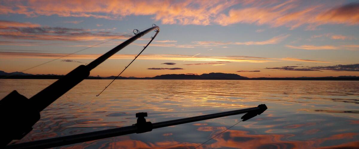 A fishing rod in the foreground with a sunset over a calm body of water.