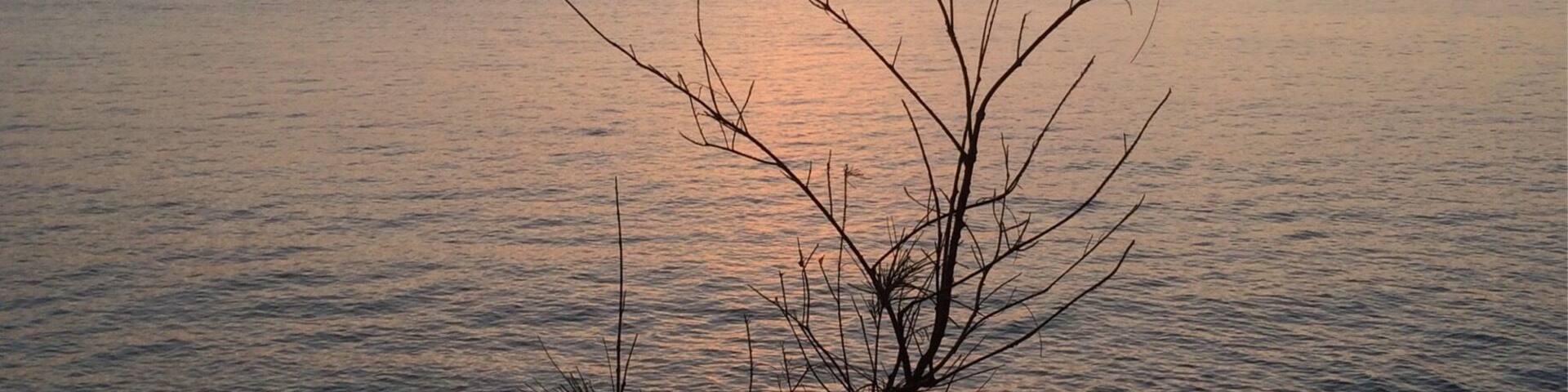 "Looking Westward"
Serenity at East Point in #Darwin, Australia.
Have a great #weekendgetaway, wherever you are!
#Goldenhour #blue