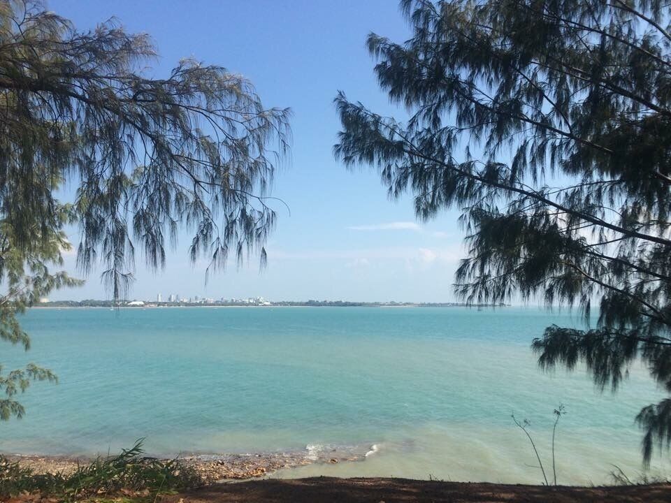 Beware of the crocs 🐊