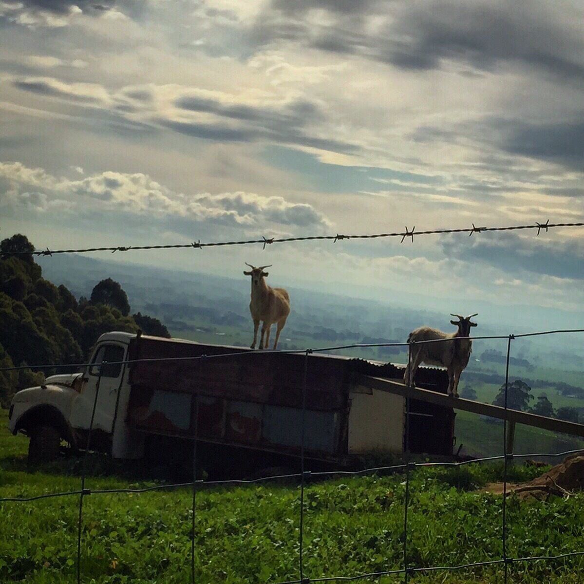 Really nice drive with some interesting little side roads. 