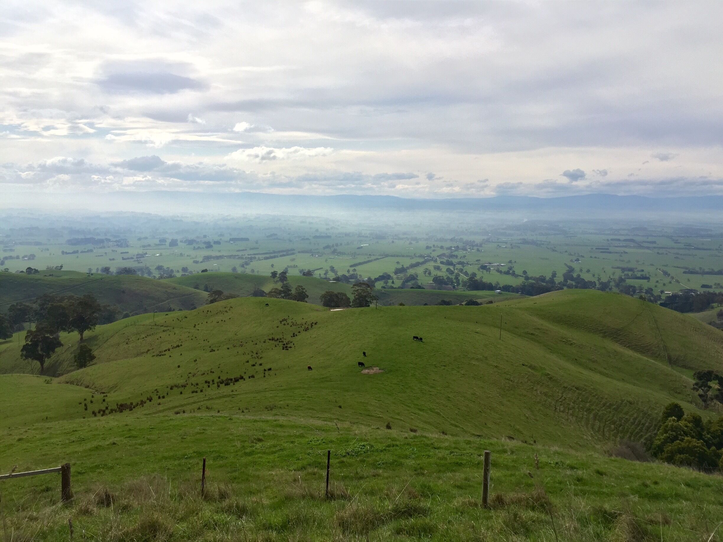 Rolling green hills with scattered trees and a distant view of a valley.