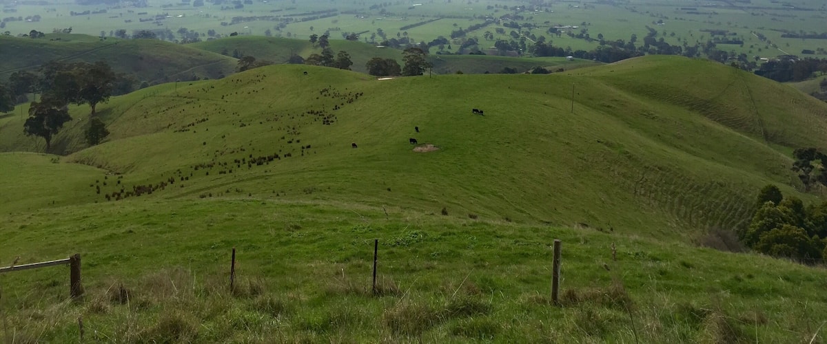 Rolling green hills with scattered trees and a distant view of a valley.