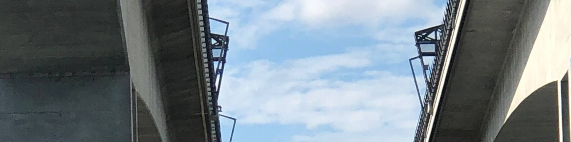 Commonly known as the Gateway Bridges.
Sir Leo Hielscher Bridges
Concrete cantilever box girder
Total length 1,627 metres (5,338 ft)
Width 22 metres (72 ft)
Height 64.5 metres (212 ft) above river level
Longest span 260 metres (850 ft)
Clearance below 59.2 m (194.2 ft) at mid-span