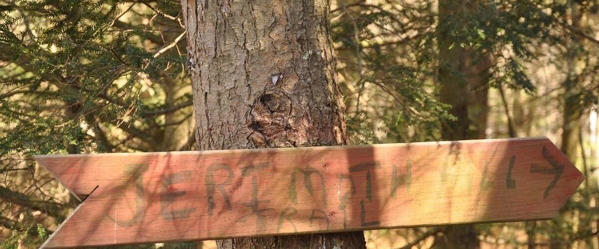 A wooden trail sign with the word "JERSEY" and an arrow pointing to the right.