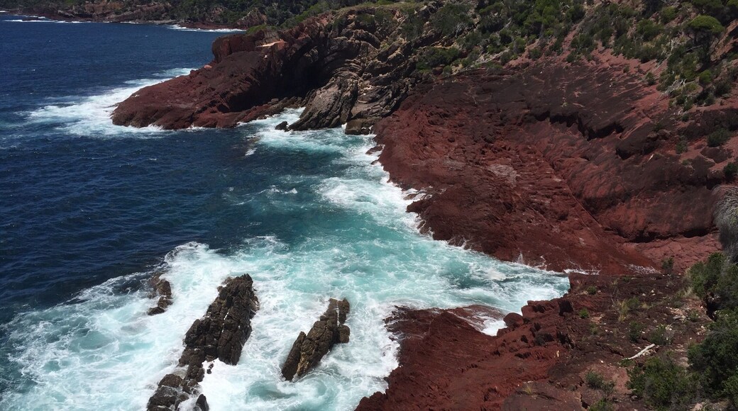 Boyd Tower, history and beautifully surprising sapphire coast