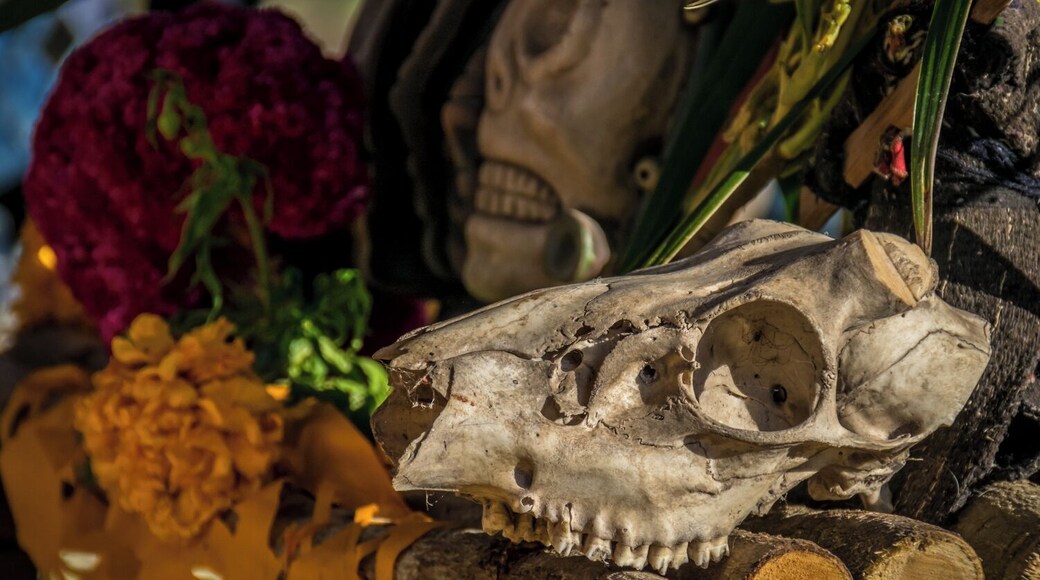 Detail of a Day of the Dead altar in 3 Reyes, Yucatan.