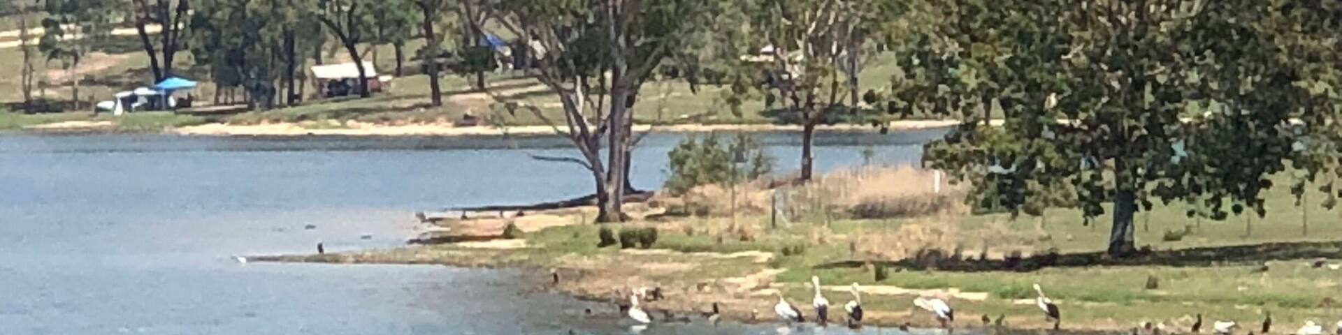 Eungella Dam is a scenic lake fringed by rainforest, the ideal spot for boating, skiing, fishing and camping. Access is by normal vehicle over some dirt road.
