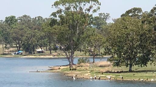 Eungella Dam is a scenic lake fringed by rainforest, the ideal spot for boating, skiing, fishing and camping. Access is by normal vehicle over some dirt road.