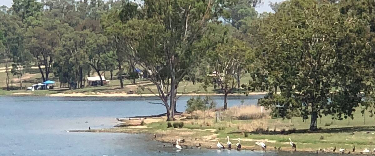 A lake with trees and a grassy area.