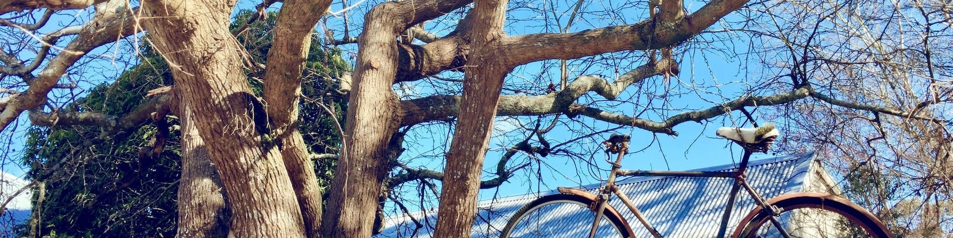 Cafe’s historic cottage for overnight stays, looks like a place from storybook.