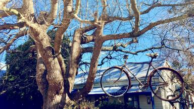 Cafe’s historic cottage for overnight stays, looks like a place from storybook.