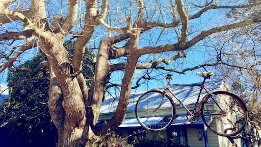Cafe’s historic cottage for overnight stays, looks like a place from storybook.