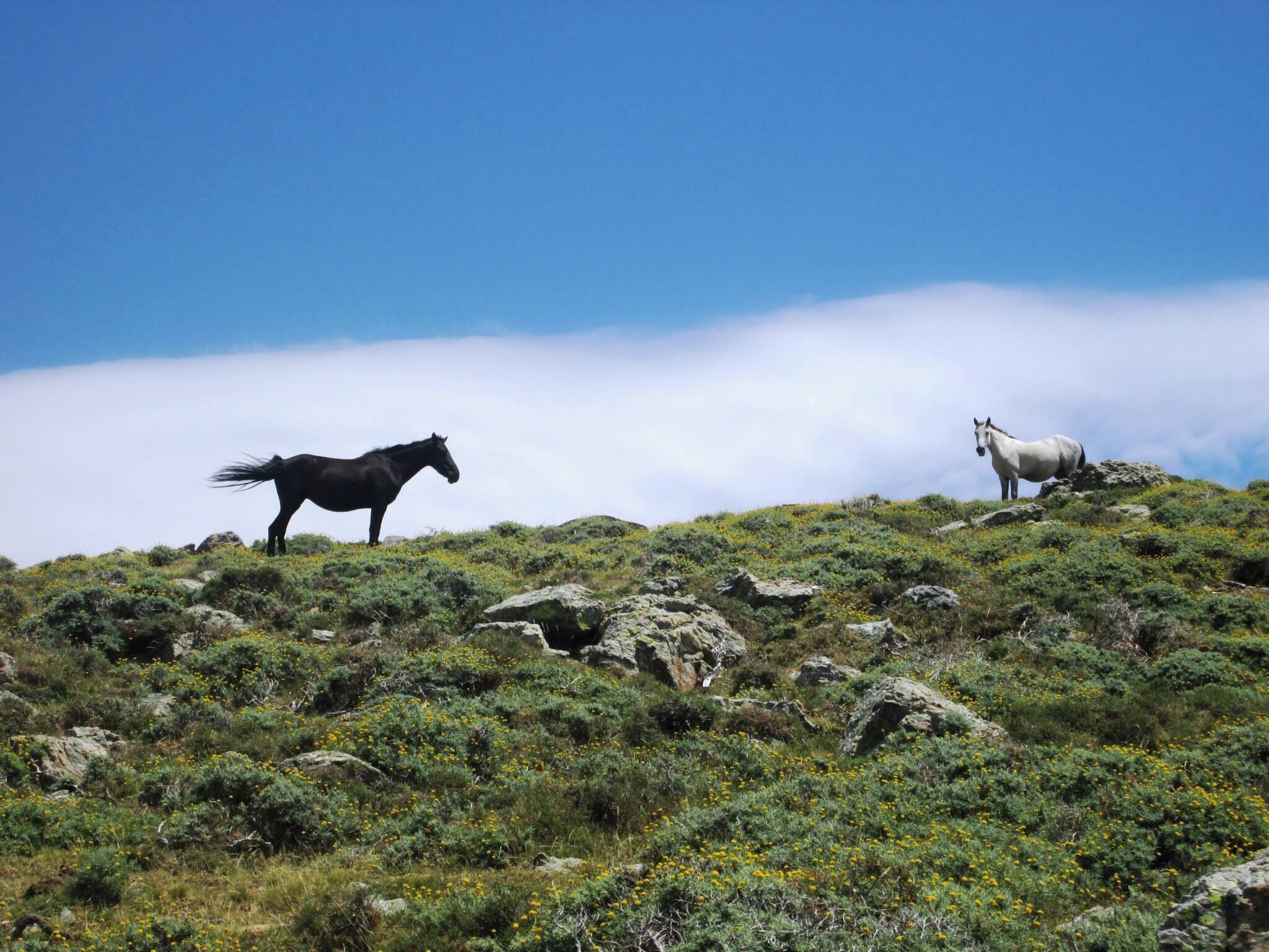 ...maestrale a punta La Marmora