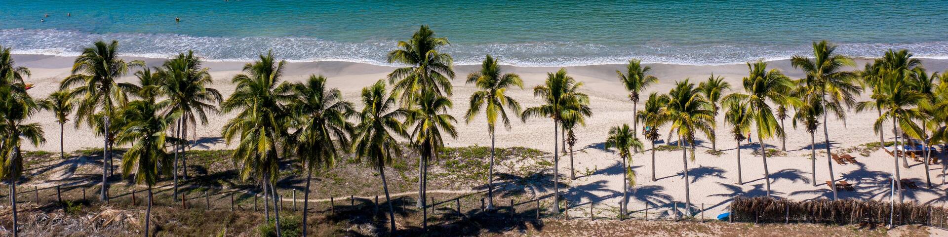 A beach with palm trees and a clear blue sea.
