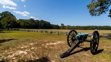 A cannon in a grassy field with a wooden fence and trees in the background.