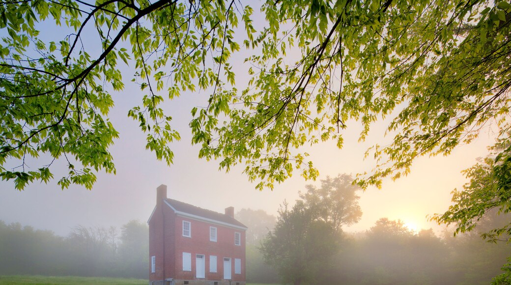 ์ ๋ค์ค๋น