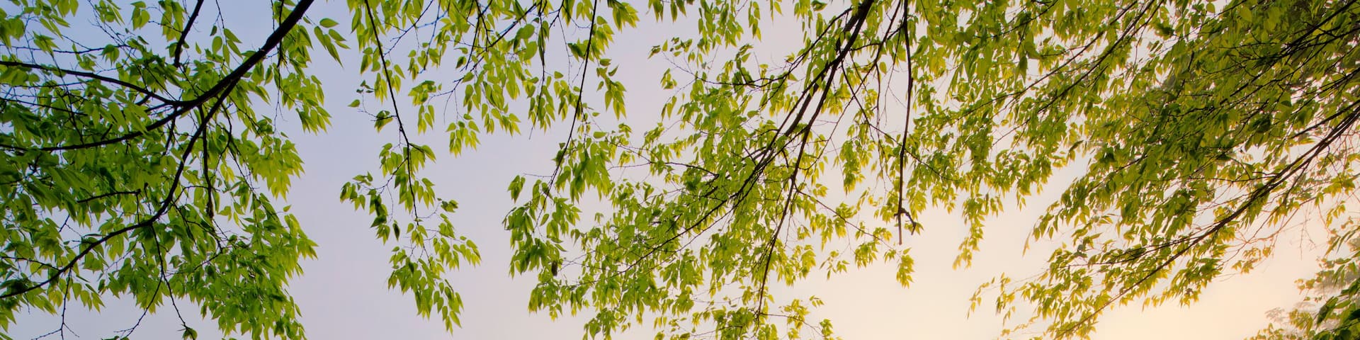 Gordon House, Natchez Trace Parkway, Tennessee and Mississippi, USA, Tennessee