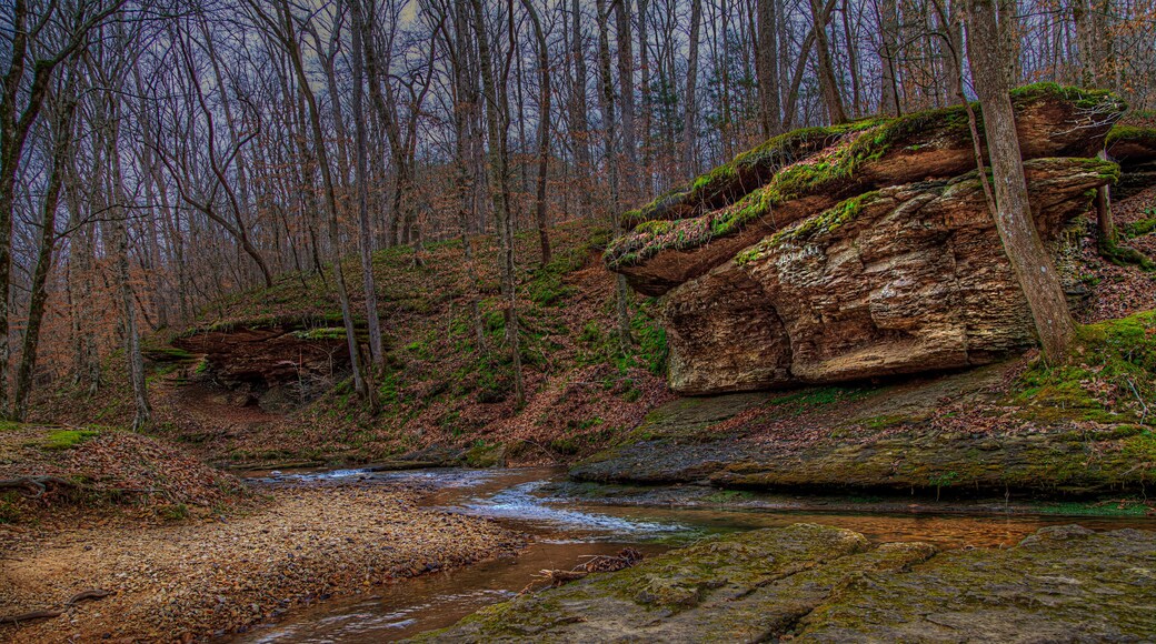 ์ ๋ค์ค๋น