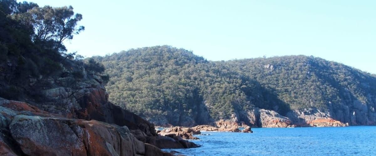 A rocky coastline with large boulders and a forested hill in the background.