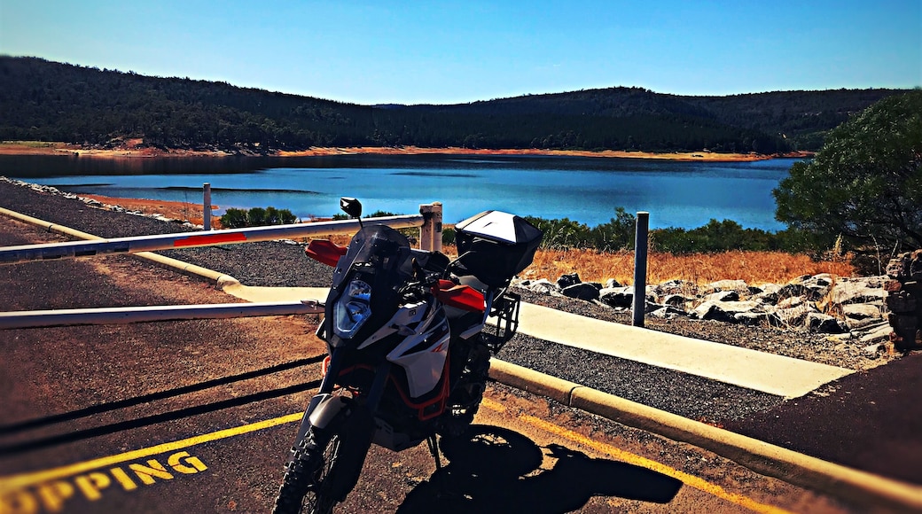 Harvey dam is great for a day out with plenty of places to stop in by the water for swimming and camping