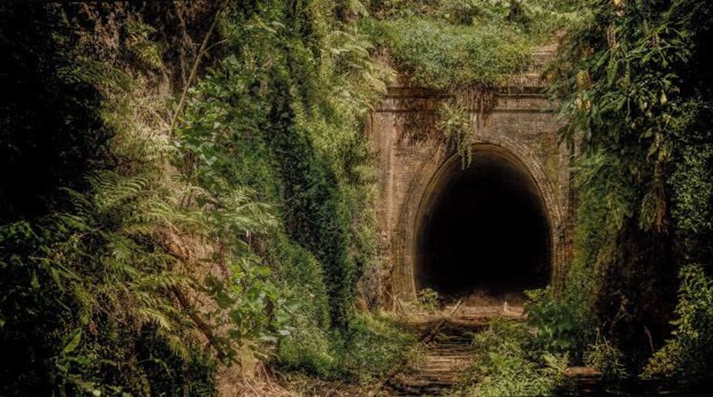 The Helensburgh station was closed in 1915 & is an integral part of Sydney's rail history. It's abb awesome area to explore and perhaps see some glow worms!