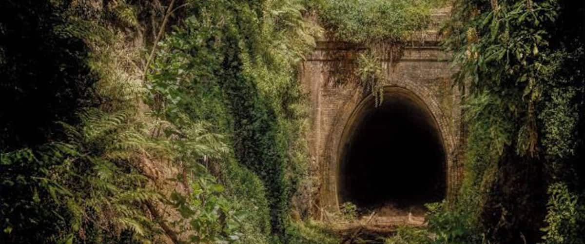 The Helensburgh station was closed in 1915 & is an integral part of Sydney's rail history. It's abb awesome area to explore and perhaps see some glow worms!