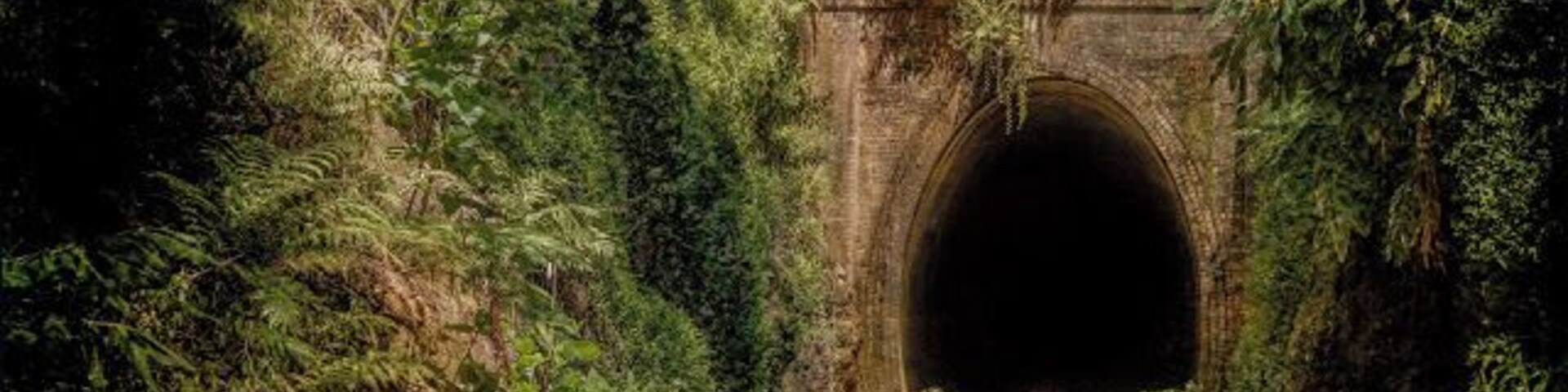 The Helensburgh station was closed in 1915 & is an integral part of Sydney's rail history. It's abb awesome area to explore and perhaps see some glow worms!