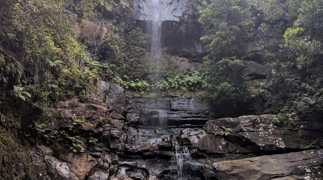 Best way to spend NYE. And about an hour and half away from Sydney 🙏