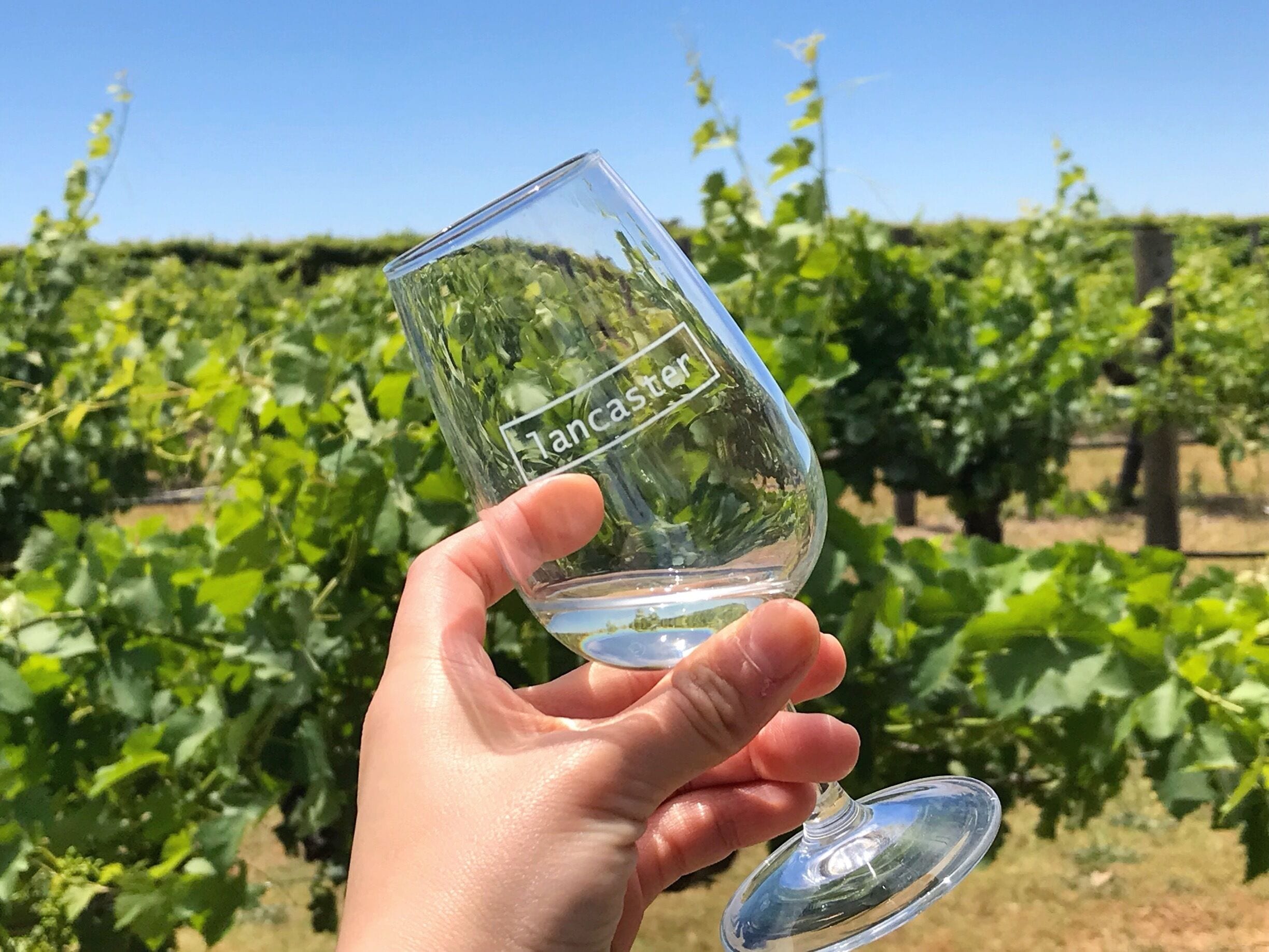 Lancaster Wines in the Swan Valley Perth. 