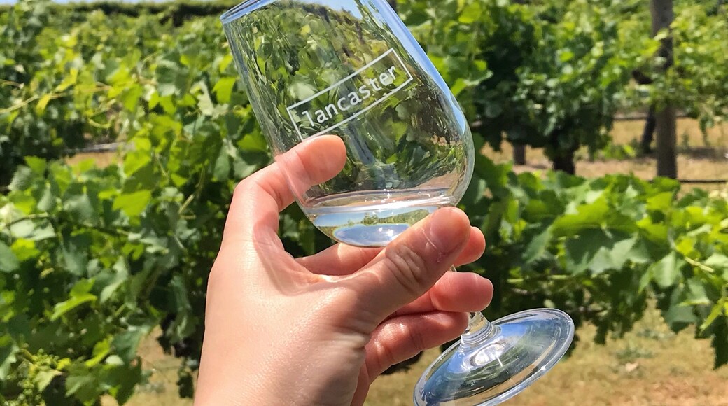 Lancaster Wines in the Swan Valley Perth.