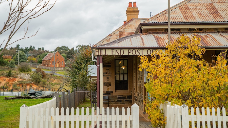 A hill end post office with a corrugated metal roof, surrounded by a white picket fence and a yellow flowering tree.