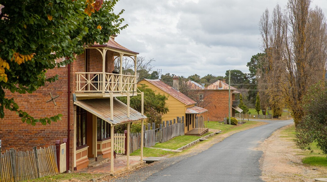 Hill End showing a small town or village