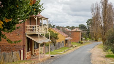 Hill End showing a small town or village