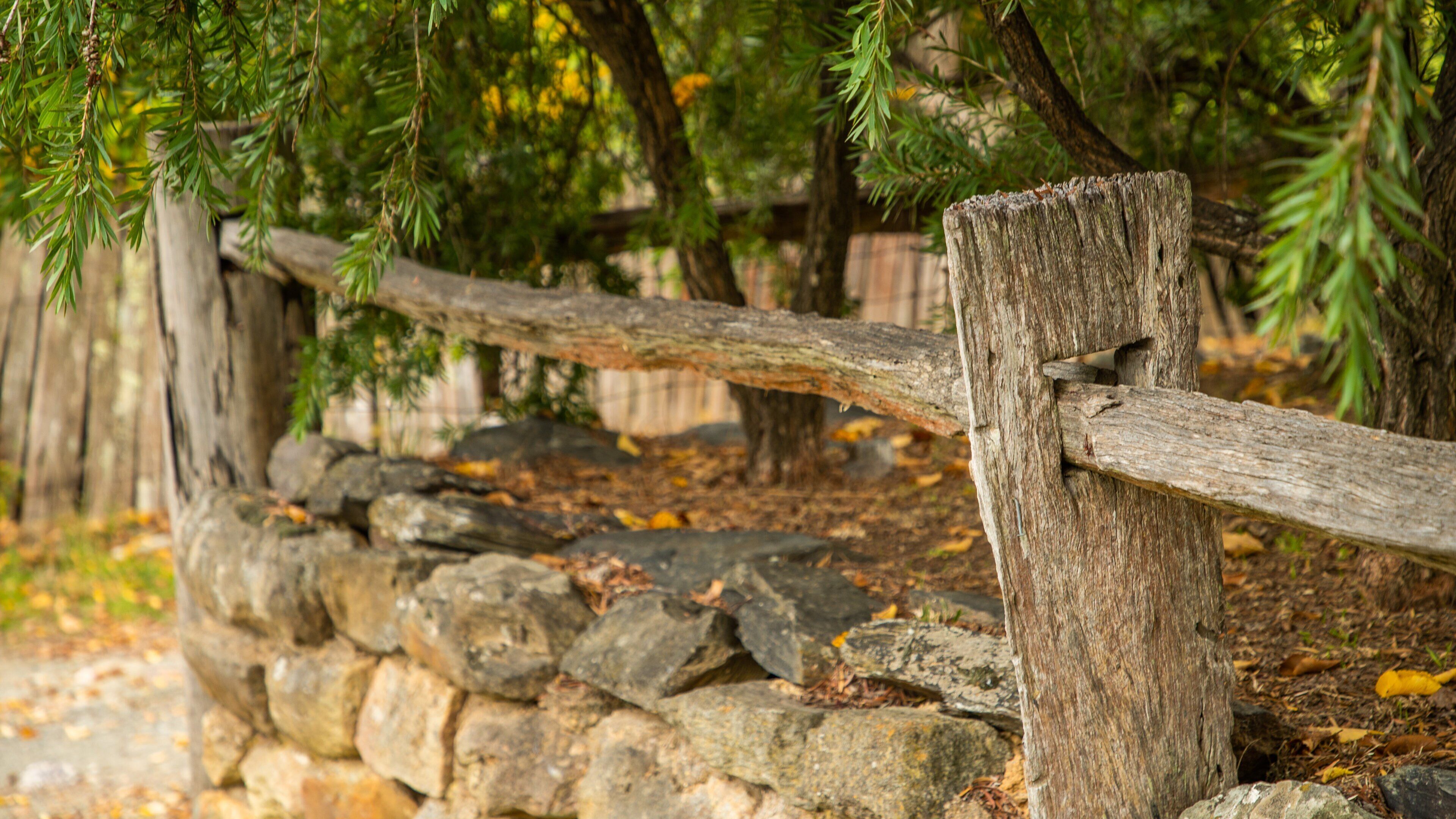 Hill End showing a garden
