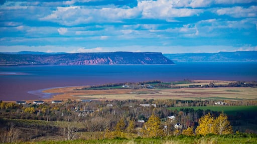 A view of Blomidon from Forest Hill Road.