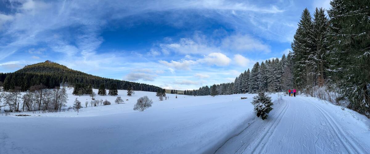 A snowy landscape with a clear sky, a forested hill, and a snow-covered road.